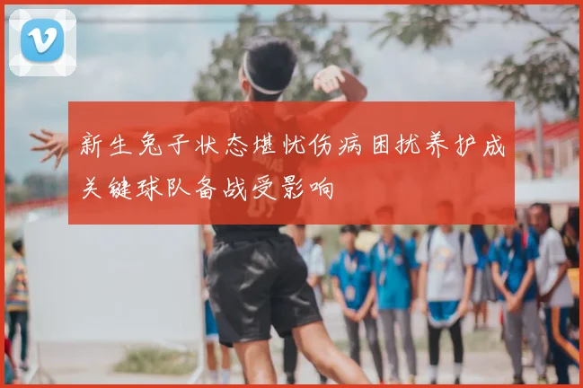 新生兔子状态堪忧伤病困扰养护成关键球队备战受影响